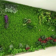 仿真植物墙