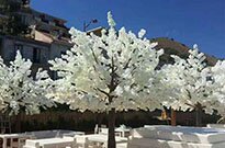 仿真樱花树、桃花树什么时候最受欢？